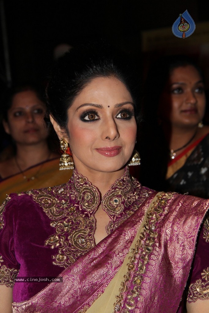 Sridevi Latest Stills - 37 / 71 photos