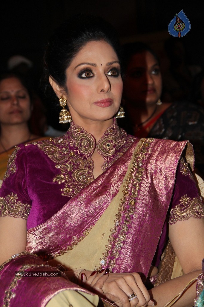 Sridevi Latest Stills - 43 / 71 photos