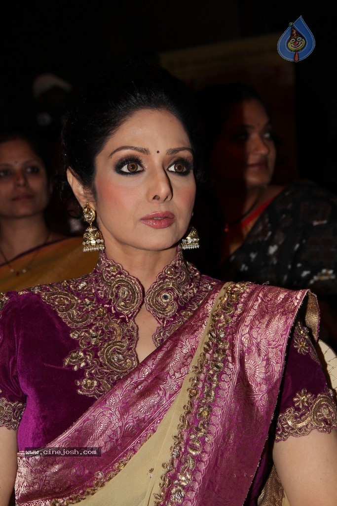 Sridevi Latest Stills - 44 / 71 photos