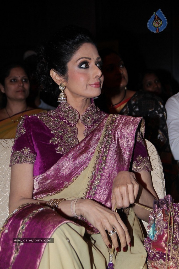 Sridevi Latest Stills - 63 / 71 photos