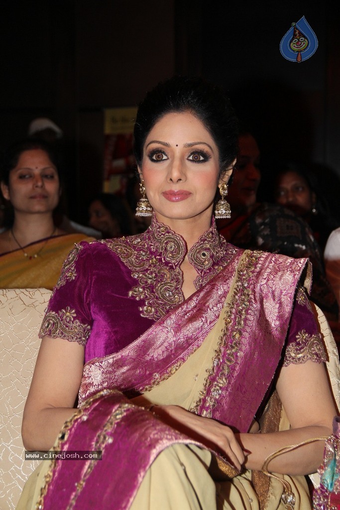 Sridevi Latest Stills - 69 / 71 photos