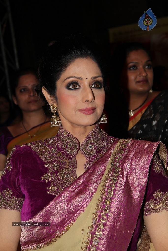 Sridevi Latest Stills - 71 / 71 photos