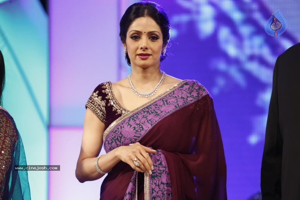 Sridevi New Stills - 5 / 47 photos