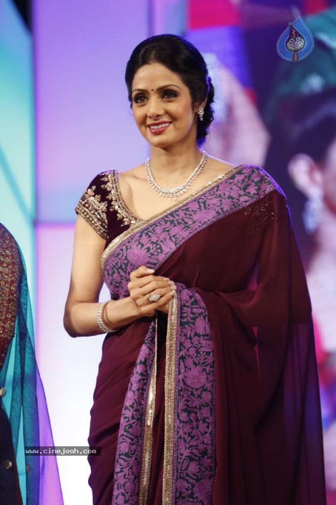 Sridevi New Stills - 10 / 47 photos