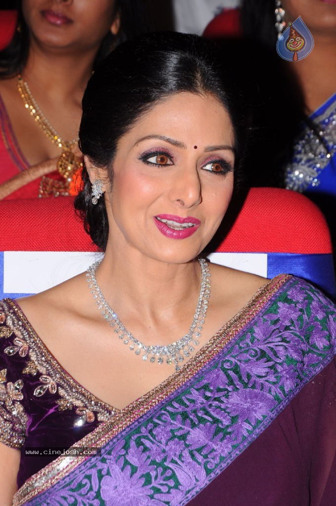 Sridevi New Stills - 17 / 47 photos