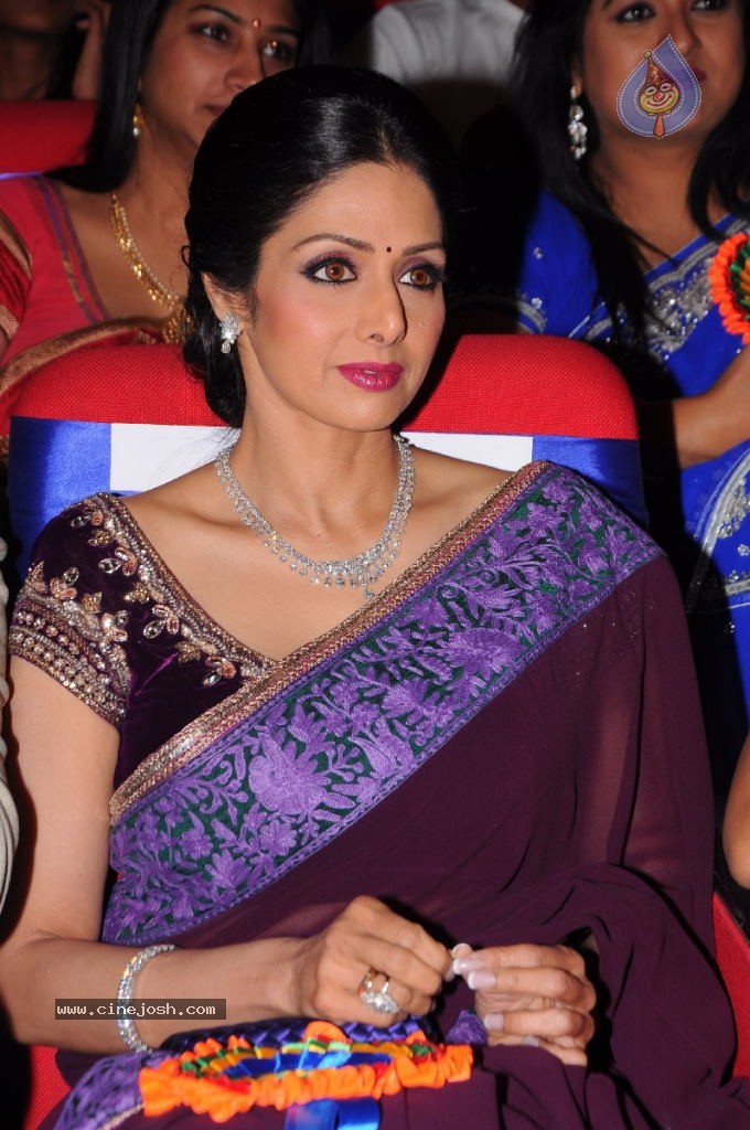 Sridevi New Stills - 18 / 47 photos