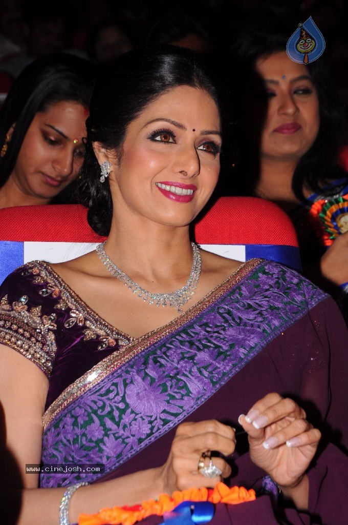 Sridevi New Stills - 19 / 47 photos