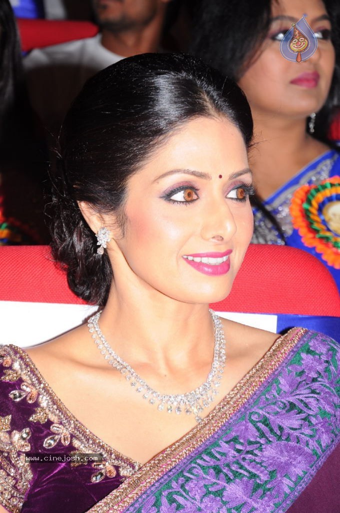 Sridevi New Stills - 20 / 47 photos