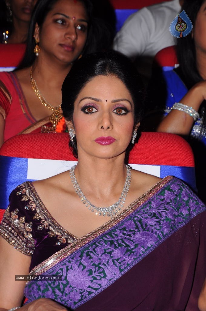 Sridevi New Stills - 35 / 47 photos