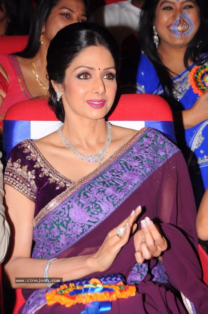 Sridevi New Stills - 39 / 47 photos