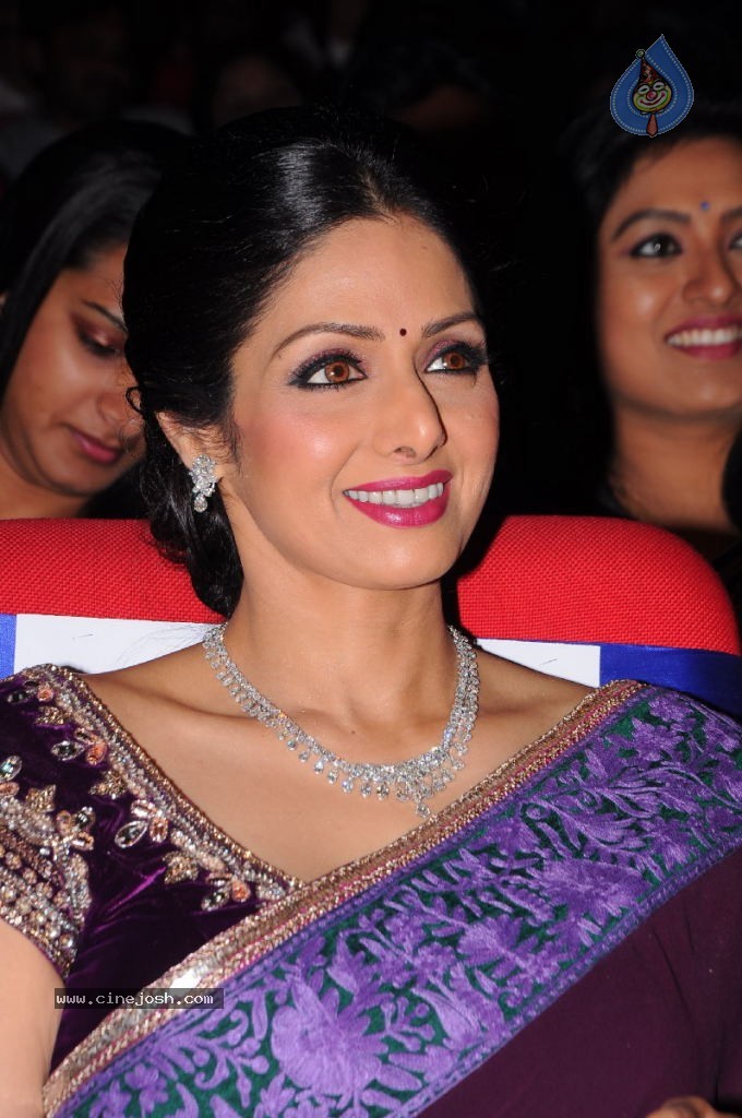 Sridevi New Stills - 40 / 47 photos