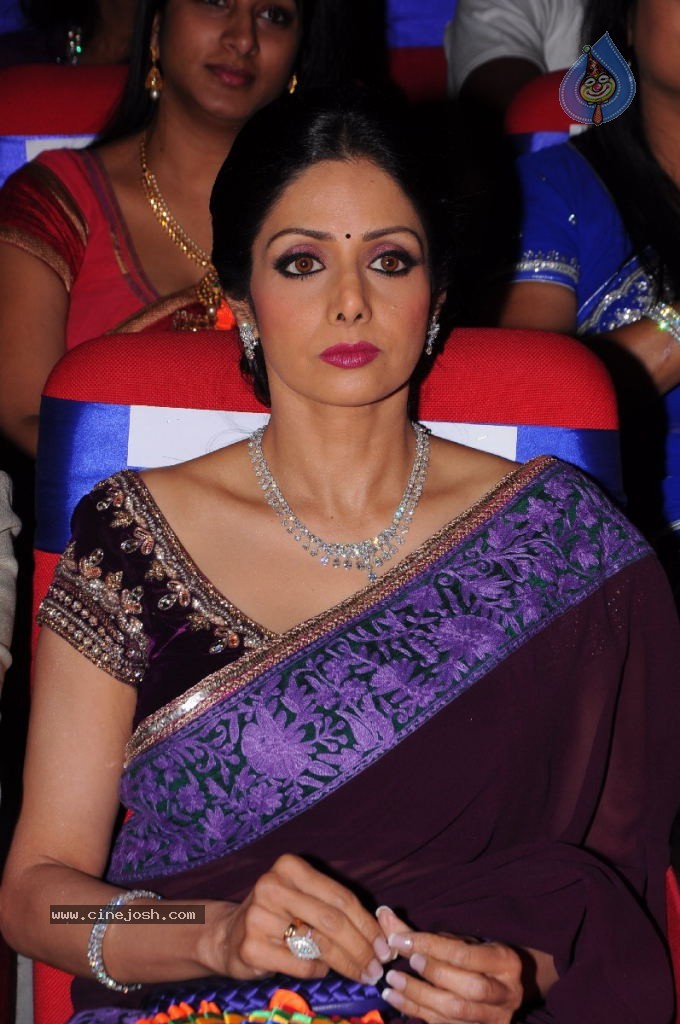 Sridevi New Stills - 41 / 47 photos