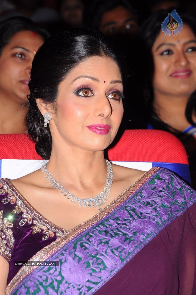 Sridevi New Stills - 43 / 47 photos