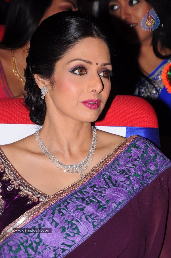 Sridevi New Stills - 44 / 47 photos