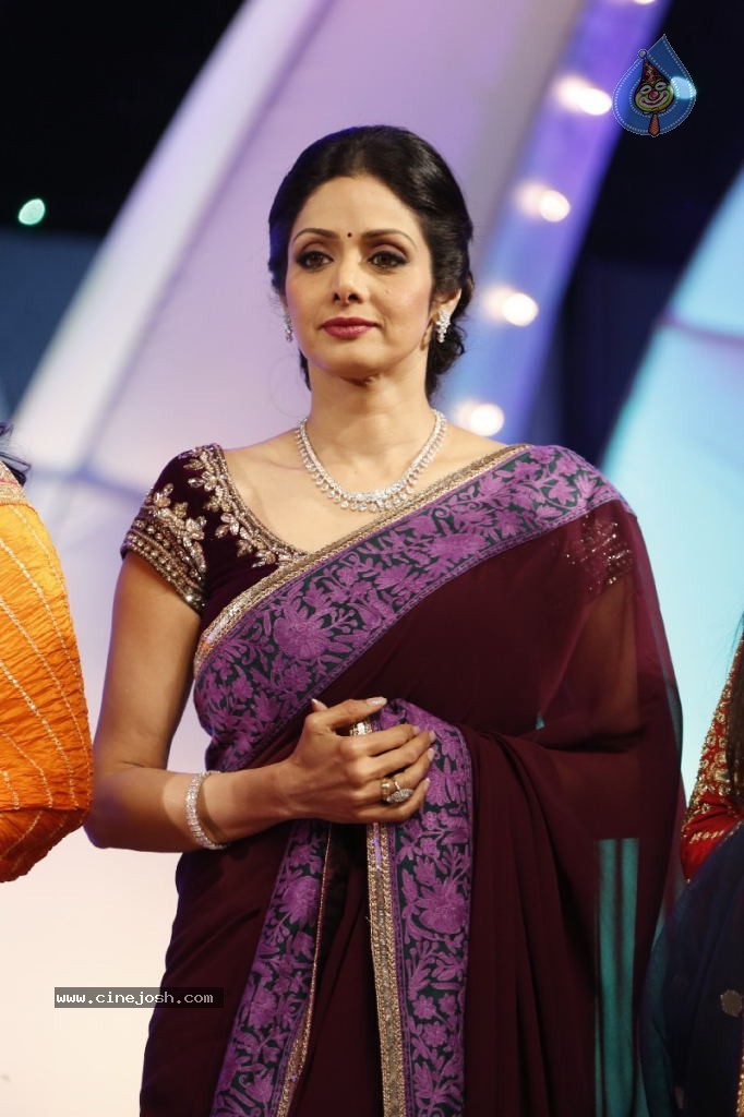 Sridevi New Stills - 46 / 47 photos