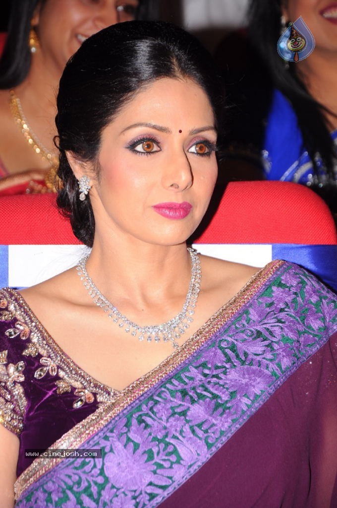 Sridevi New Stills - 47 / 47 photos