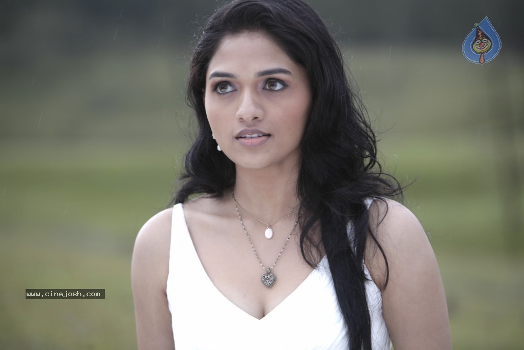 Sunaina Hot Photos - 29 / 35 photos