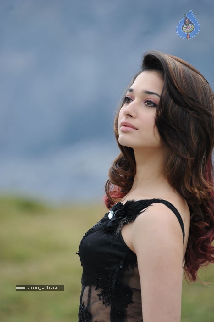 Tamanna Hot Photos - 68 / 151 photos