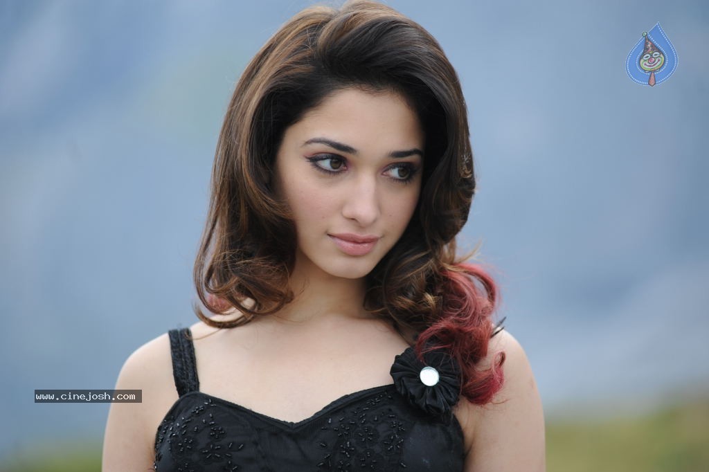 Tamanna Hot Photos - 82 / 151 photos