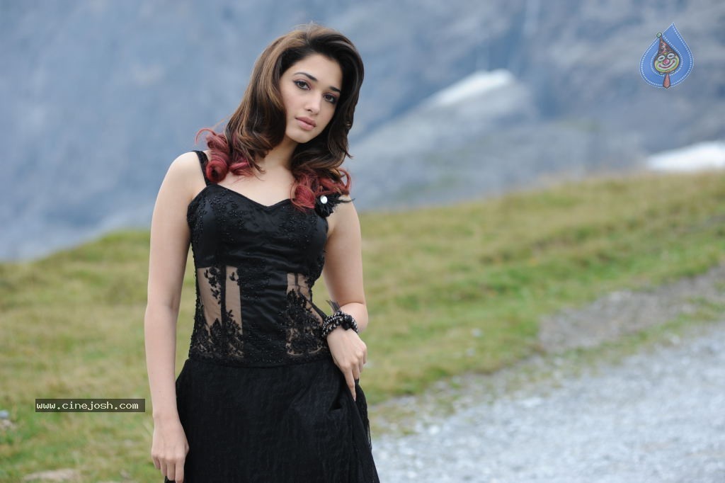 Tamanna Hot Photos - 99 / 151 photos