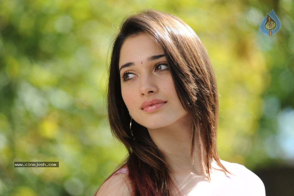 Tamanna Hot Photos - 43 / 70 photos