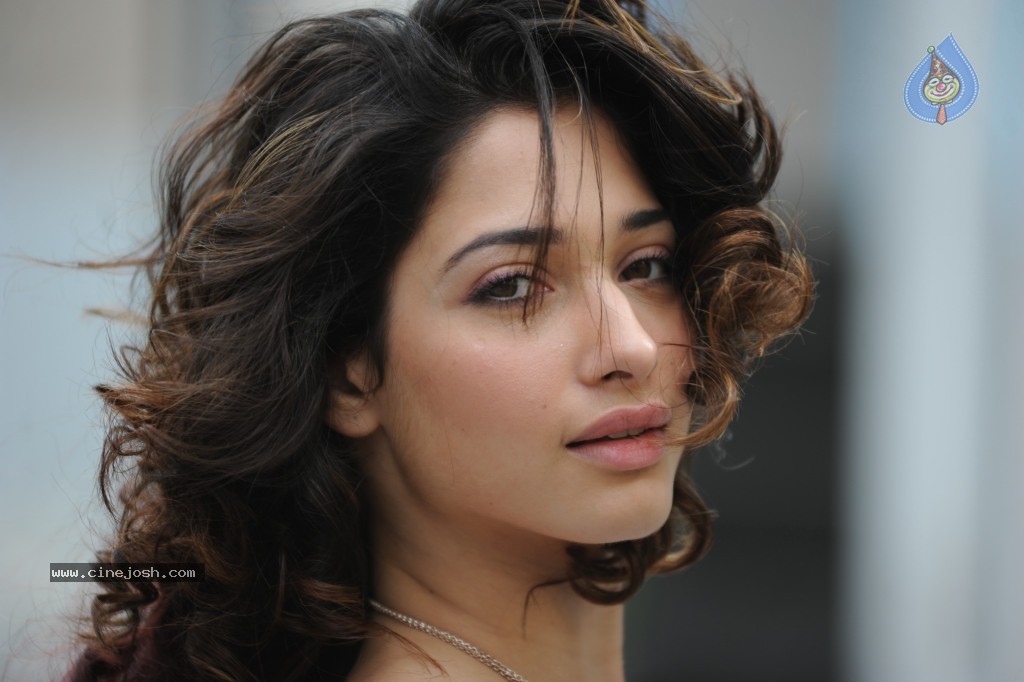 Tamanna Photo Gallery - 94 / 110 photos