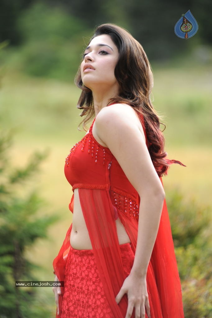 Tamanna Spicy Stills - 11 / 102 photos