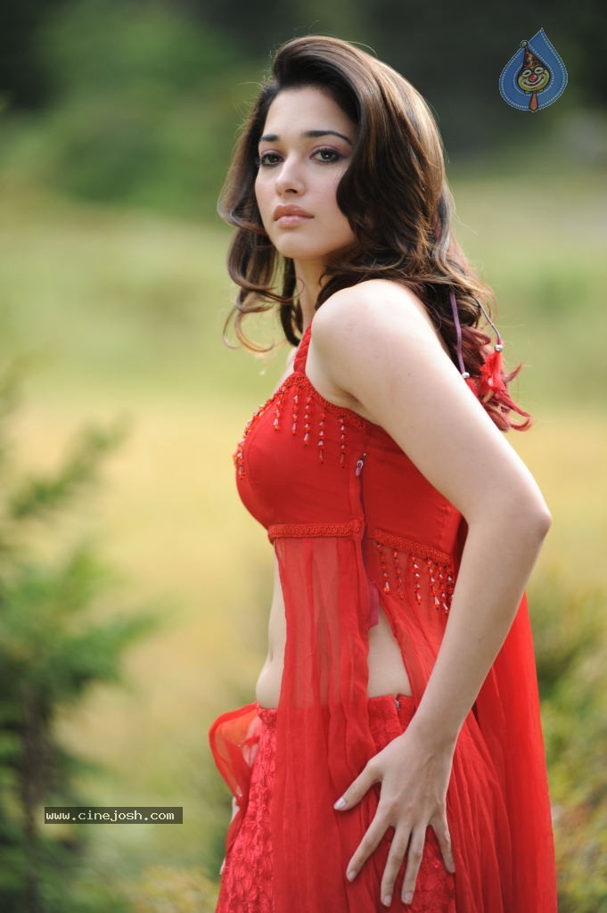 Tamanna Spicy Stills - 13 / 102 photos