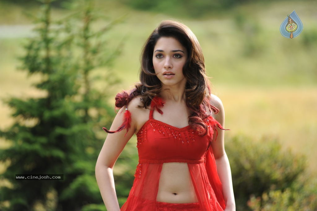 Tamanna Spicy Stills - 30 / 102 photos