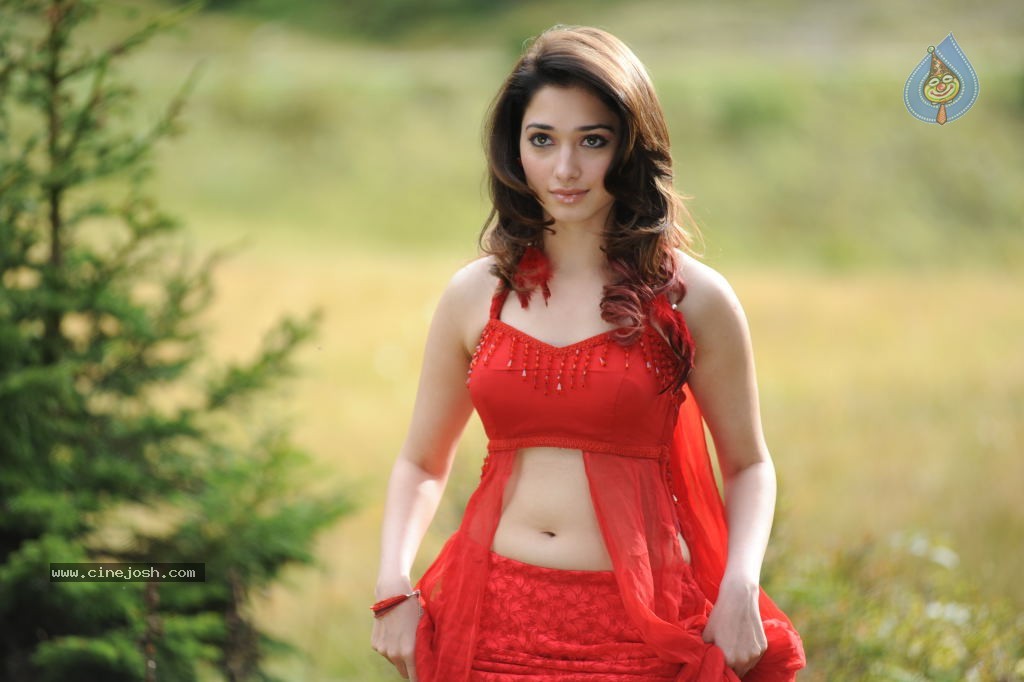 Tamanna Spicy Stills - 46 / 102 photos