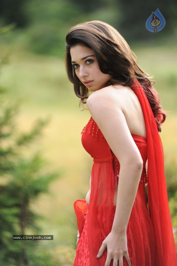 Tamanna Spicy Stills - 52 / 102 photos