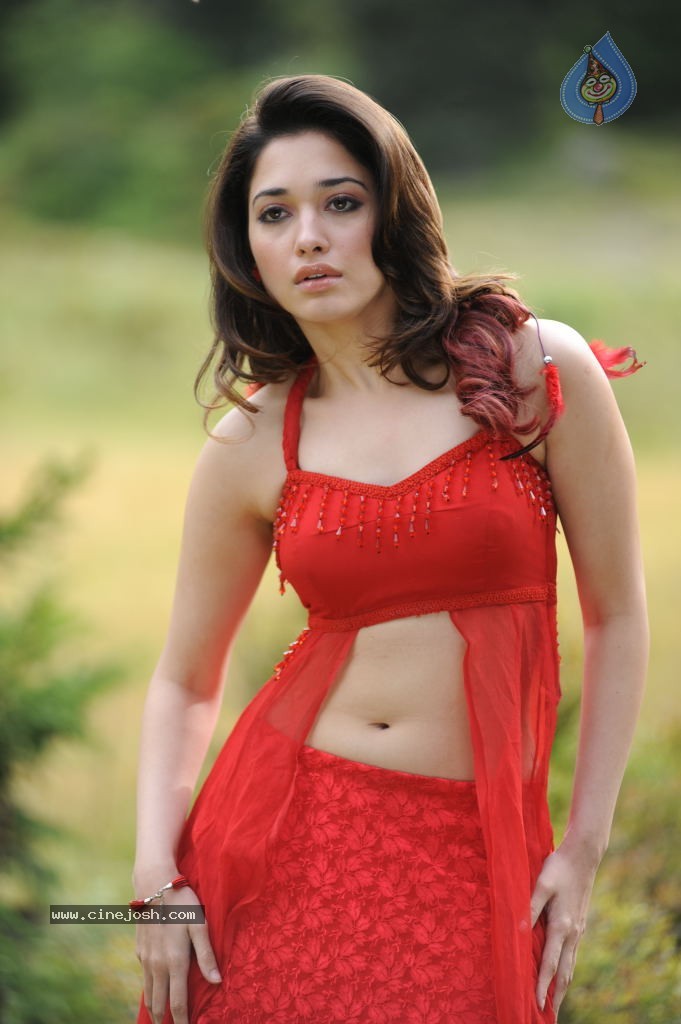 Tamanna Spicy Stills - 60 / 102 photos