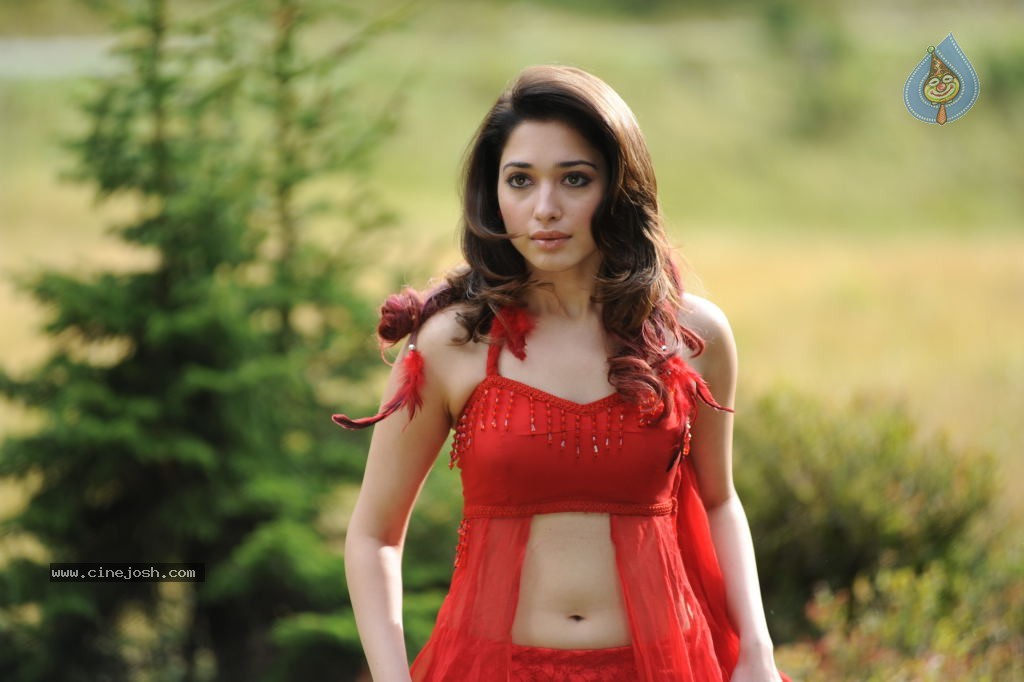 Tamanna Spicy Stills - 73 / 102 photos