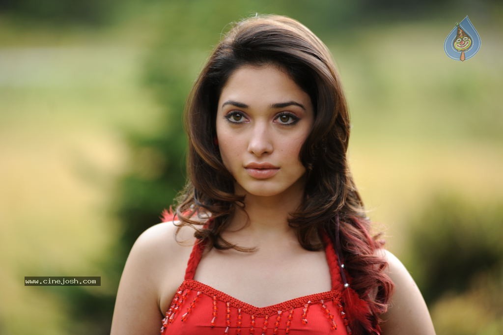 Tamanna Spicy Stills - Photo 76 of 102