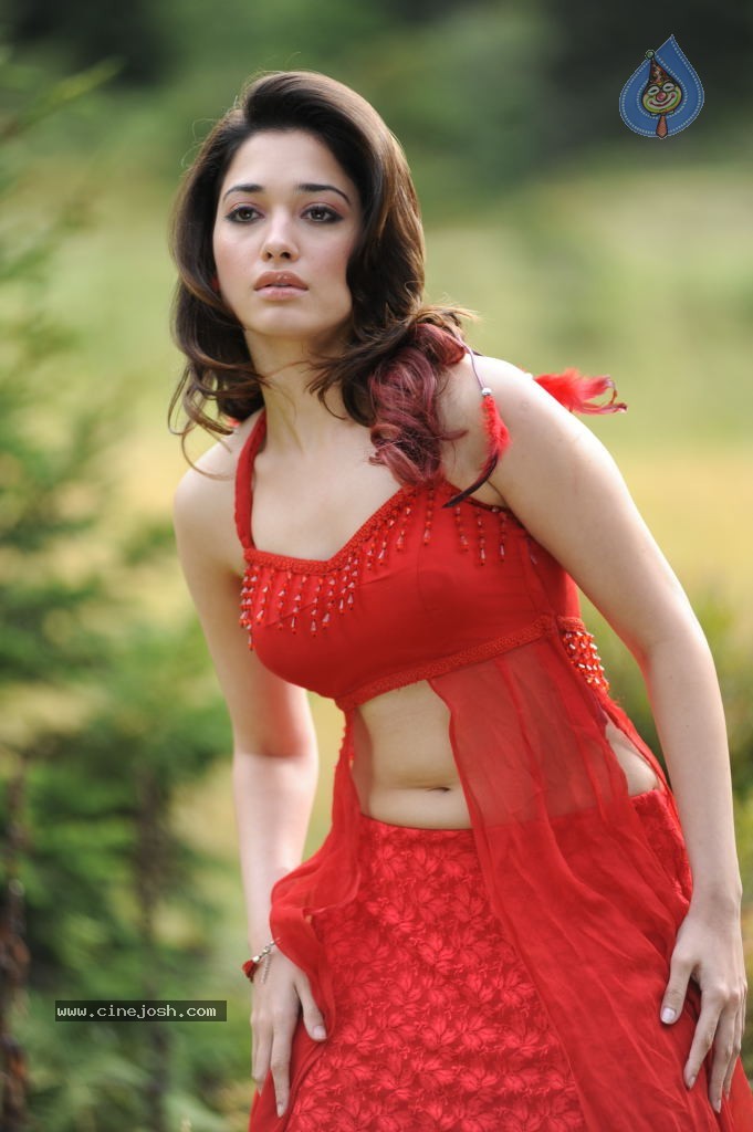 Tamanna Spicy Stills - 98 / 102 photos