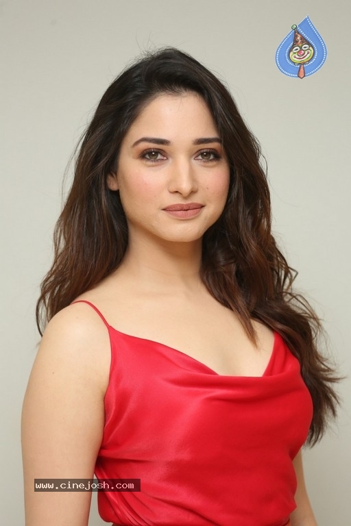 Tamannaah New Photos - 11 / 21 photos