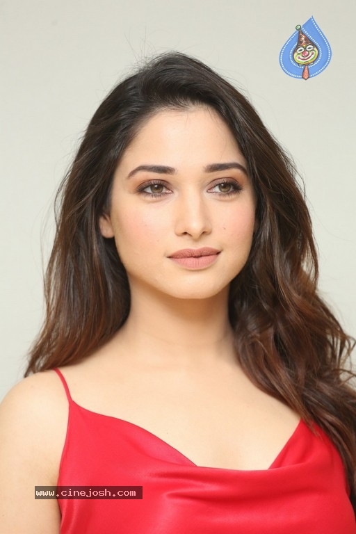 Tamannaah New Photos - 12 / 21 photos