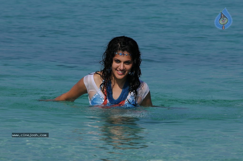 Tapsee Hot Gallery - 33 / 66 photos