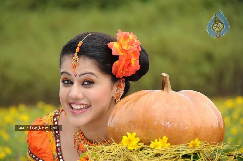 Tapsee Latest Stills - 13 / 40 photos