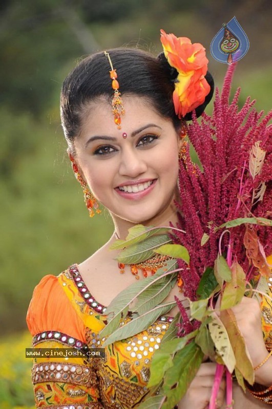 Tapsee Latest Stills - 28 / 40 photos