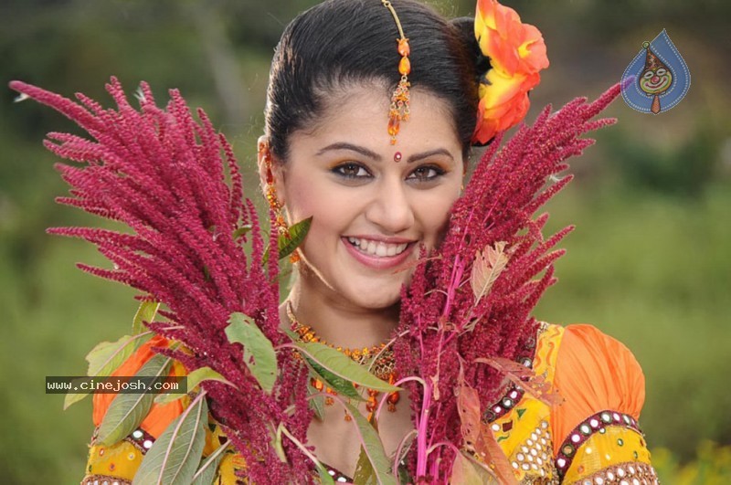 Tapsee Latest Stills - 37 / 40 photos