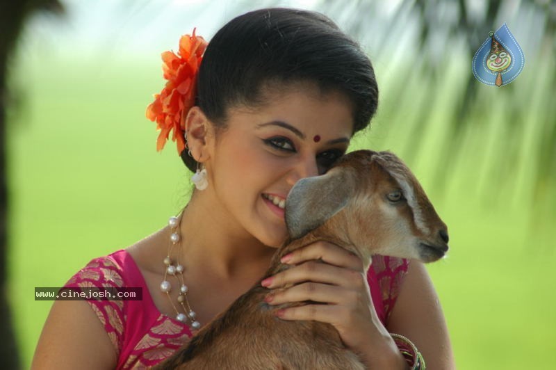 Tapsee Photos - 40 / 98 photos