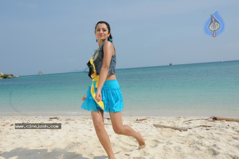 Trisha New Gallery - 49 / 175 photos