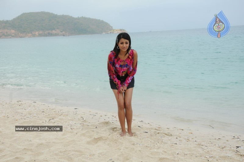 Trisha New Gallery - 70 / 175 photos