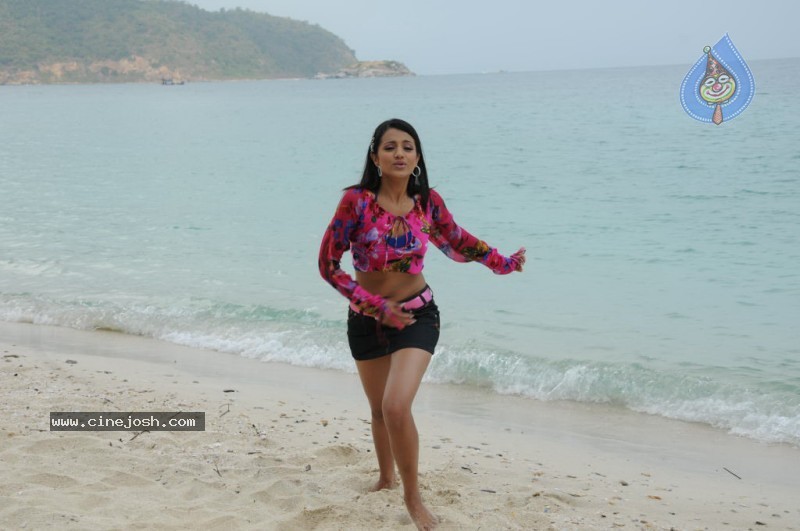 Trisha New Gallery - 84 / 175 photos