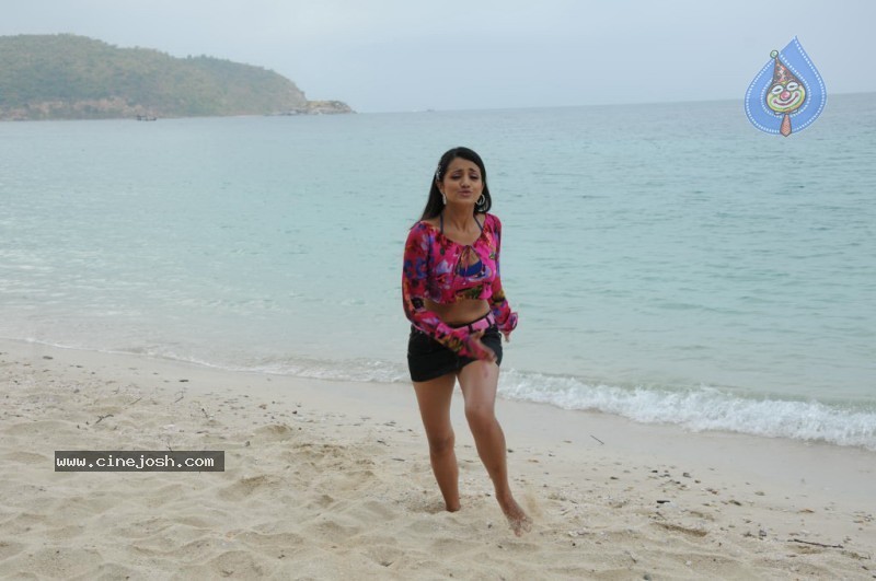 Trisha New Gallery - 101 / 175 photos