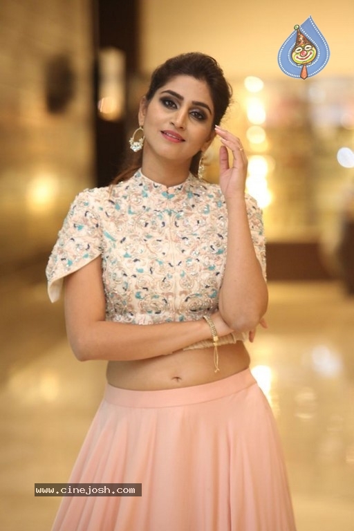 Varshini Sounderajan Photos - 8 / 19 photos