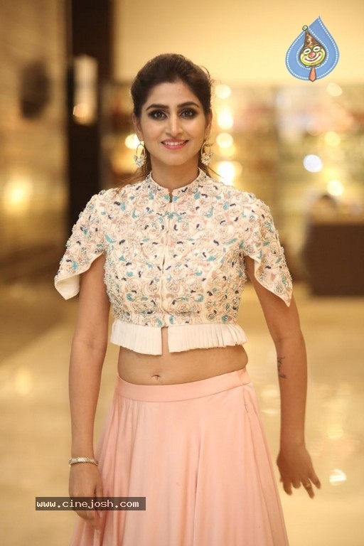 Varshini Sounderajan Photos - 17 / 19 photos