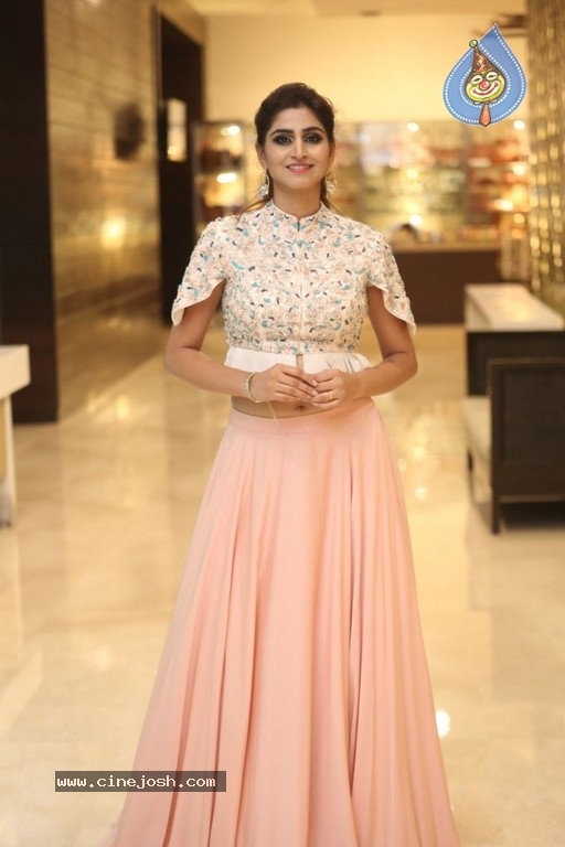 Varshini Sounderajan Photos - 18 / 19 photos