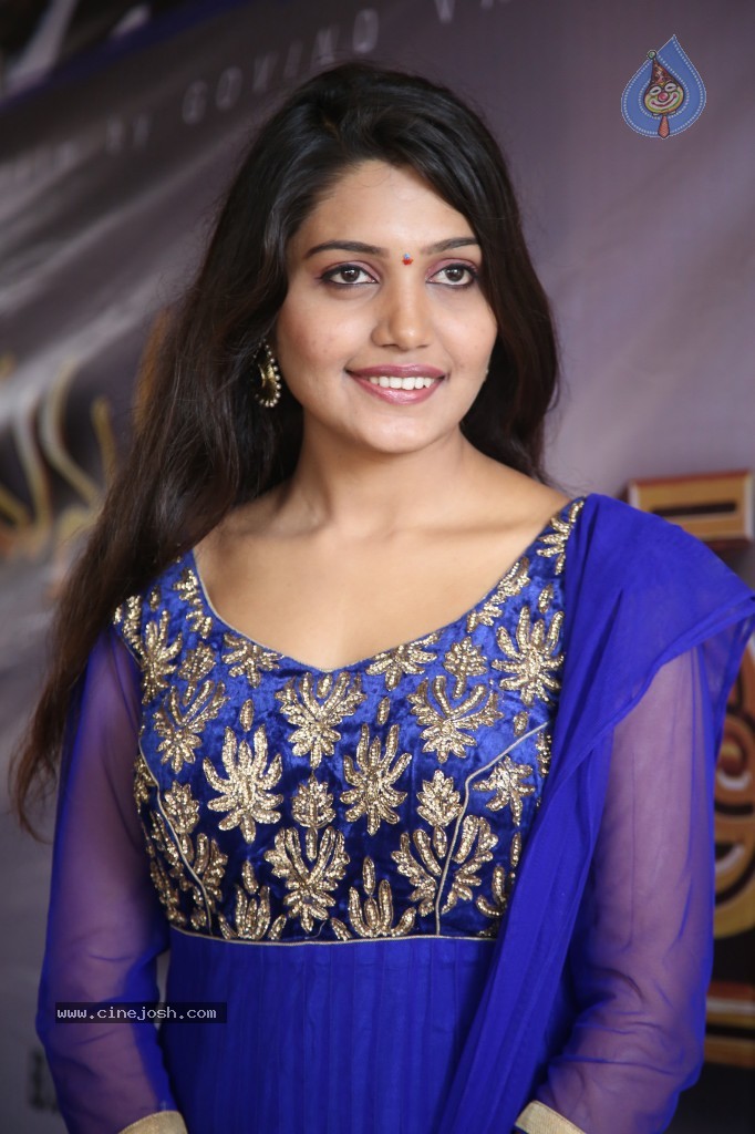 Vidharsha New Stills - 47 / 63 photos